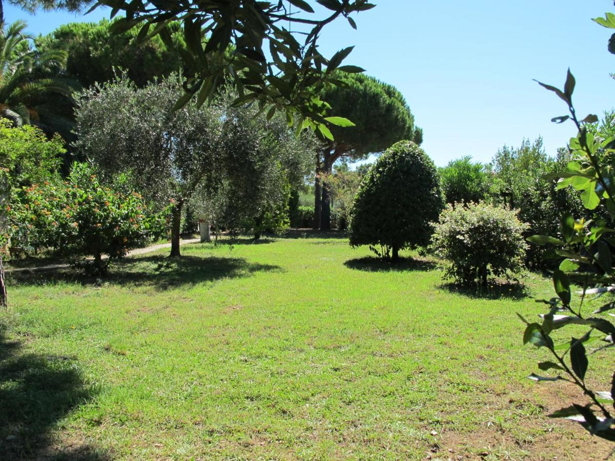 Casaisoladelba Διαμέρισμα Lacona Εξωτερικό φωτογραφία