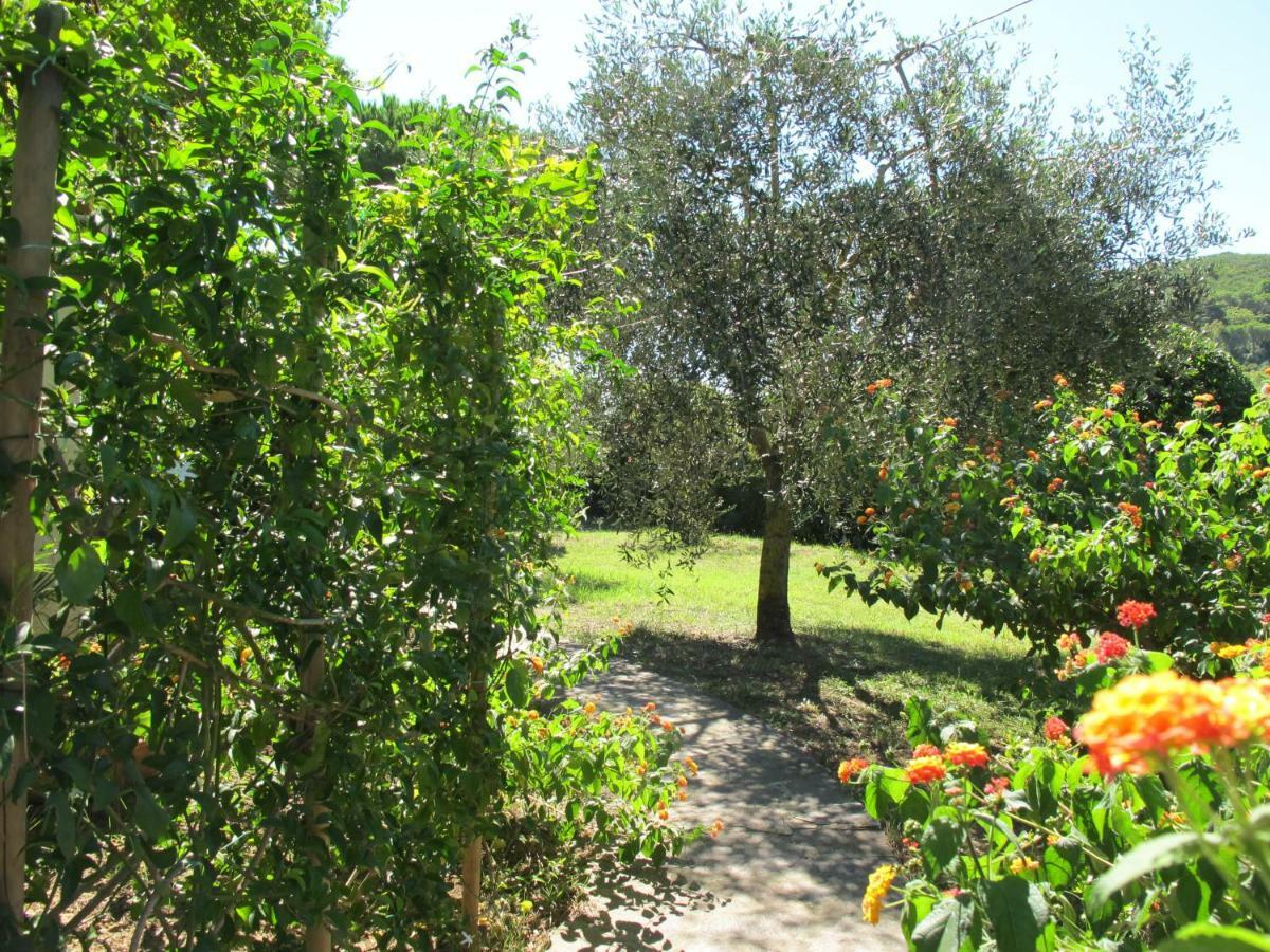 Casaisoladelba Διαμέρισμα Lacona Εξωτερικό φωτογραφία
